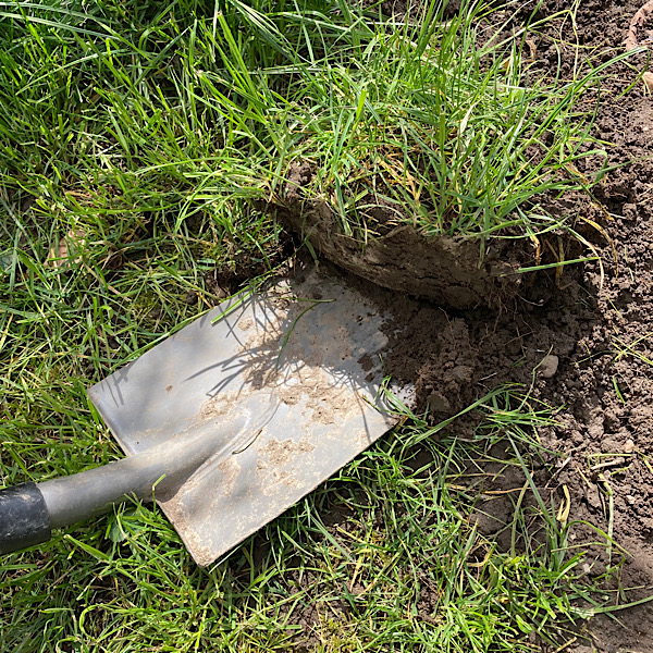 Ein Spaten beim Abgraben der Grasnarbe. Rasen wird überbewertet, das Blumenbeet wird vorbereitet. 