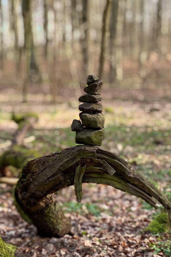 Spielidee im Garten Skulpturen: Das Bild zeigt einen Steinturm auf einer Wurzel. 