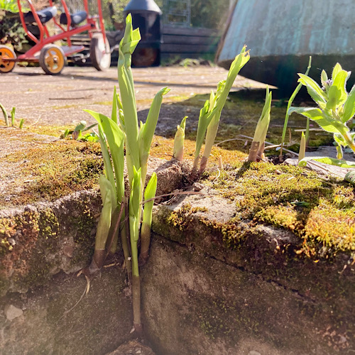 Magische Küchenspüle im Garten