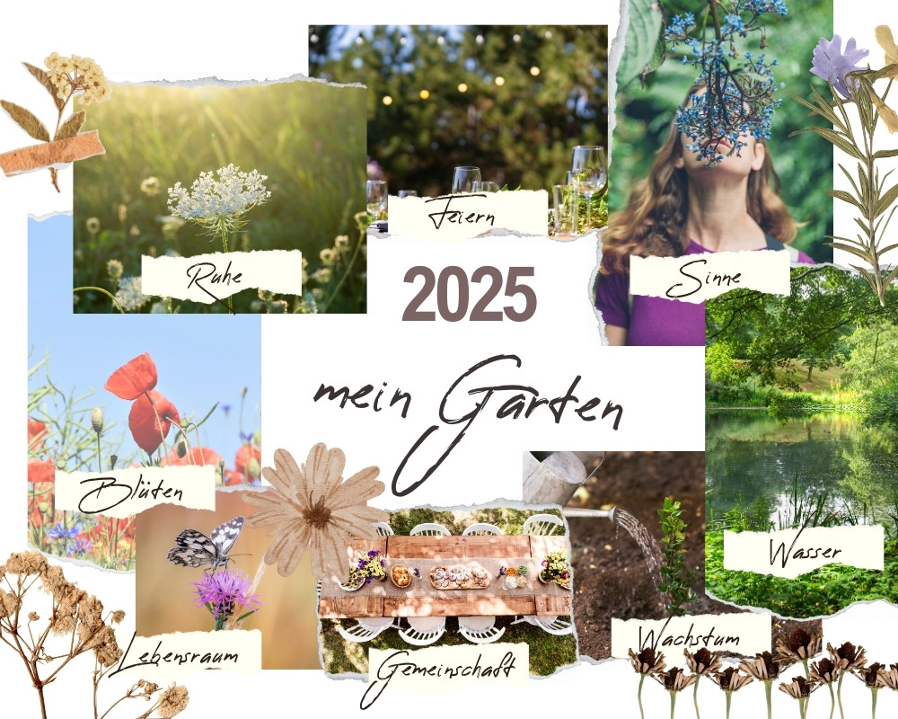 Vision Board Garten Beispiel
