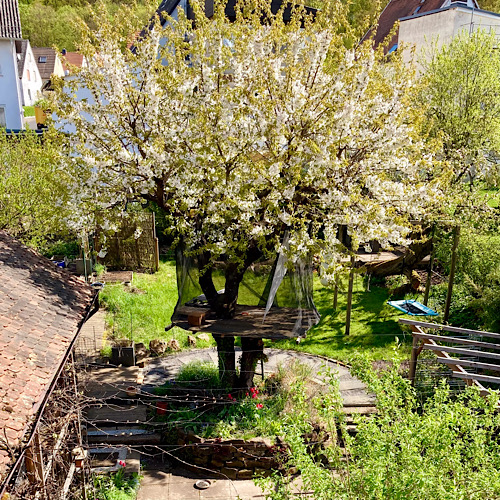 Gartengestaltung: Blick auf den Garten mit blühendem Kirschbaum,  Terrasse, Treppen, Natursteinmauer, Beeten, Pergola, Schuppendach, ...
