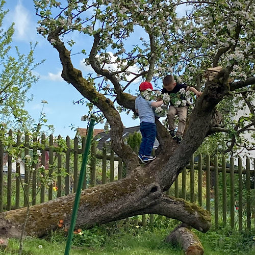 Gartengestaltung: Einen Garten neu gestalten kann auch mit vorhandenen Bäumen gelingen, selbst wenn sie nicht mehr gerade stehen. Auf dem Bild spielen zwei Kinder in einem umgefallenen Apfelbaum. 