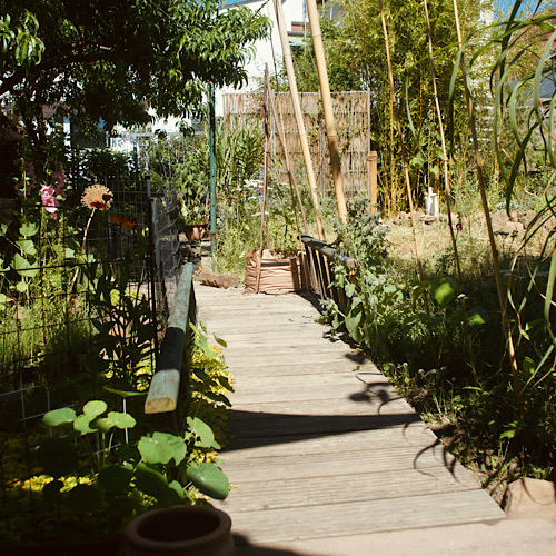 Gartengestaltung: Auf dem Bild ist ein kleiner Holzsteg durch eine Blumenwiese abgebildet. Er ist gerahmt von Bambusstangen für Bohnen. Es sind viele Pflanzen und Bäume zu sehen. 