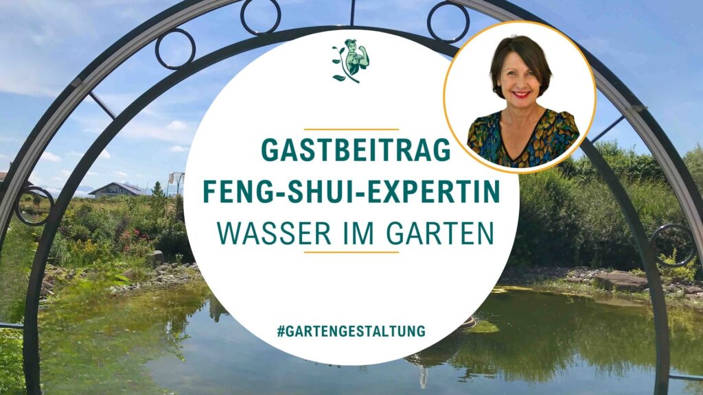 Wasser im Garten