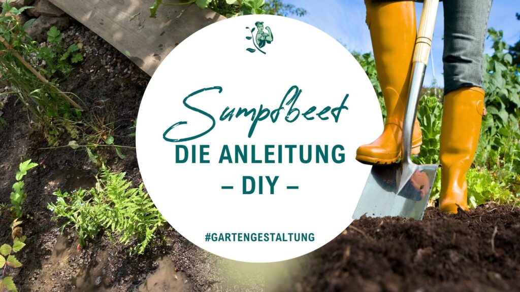 Sumpfbeet anlegen