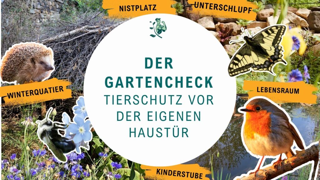 Gartencheck
