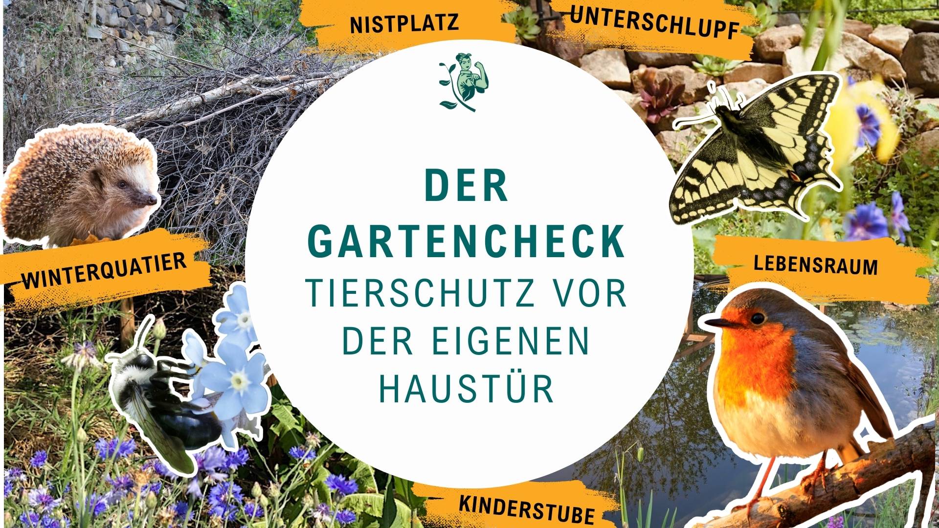 Gartencheck holt 2. Platz bei der Tierschutz-Challenge