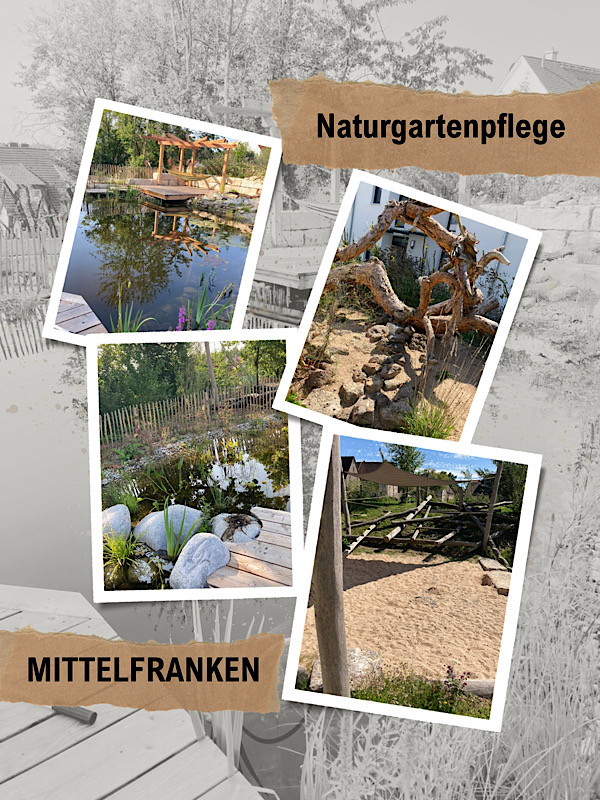 Naturgartenprofi Praktikum 2: Naturgartenpflege Bayern Mittelfranken: Pflege, Teich, Baumstammmikado
