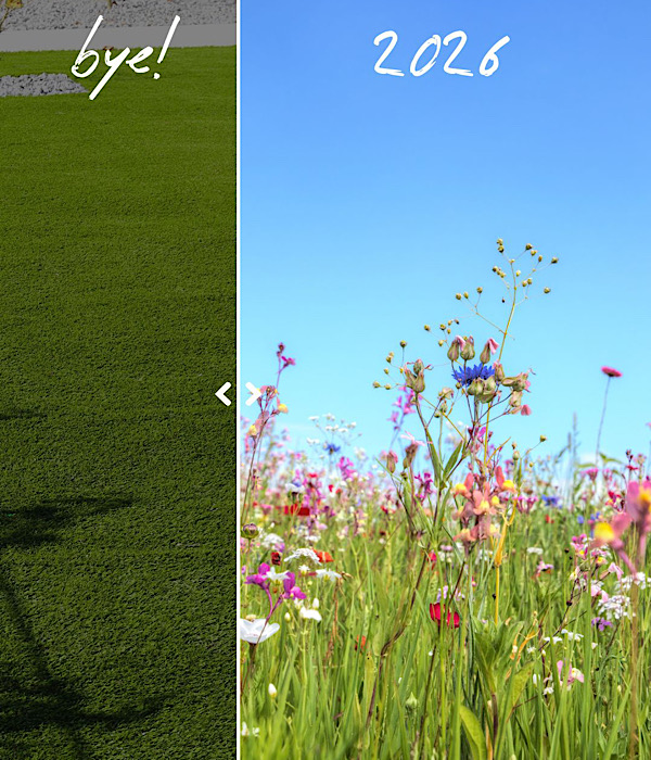 Gartentrend Bye Rasen, hallo Blumenwiese