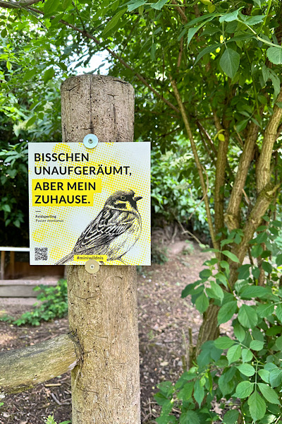 Julia Kurth Wirwollenwild Schukd miniwildnis Vogel