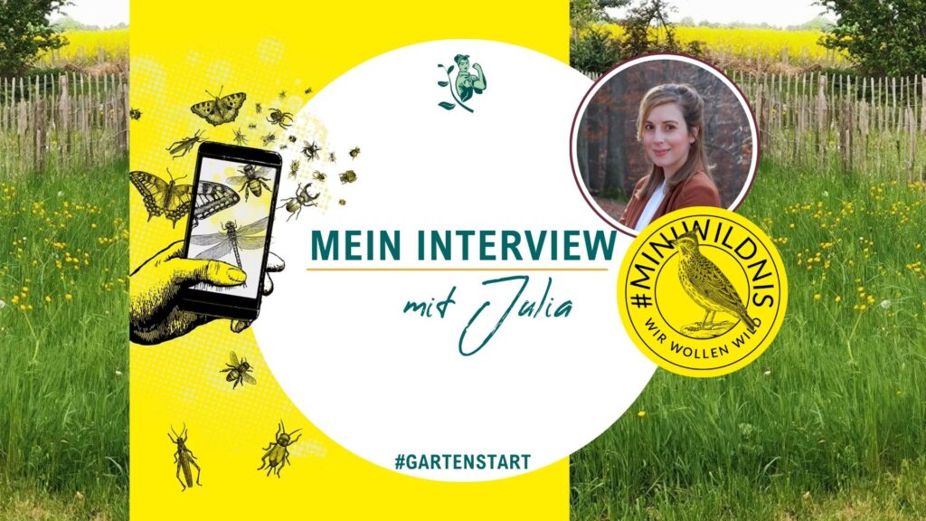 natur bodiversität #miniwildnis julia kurth