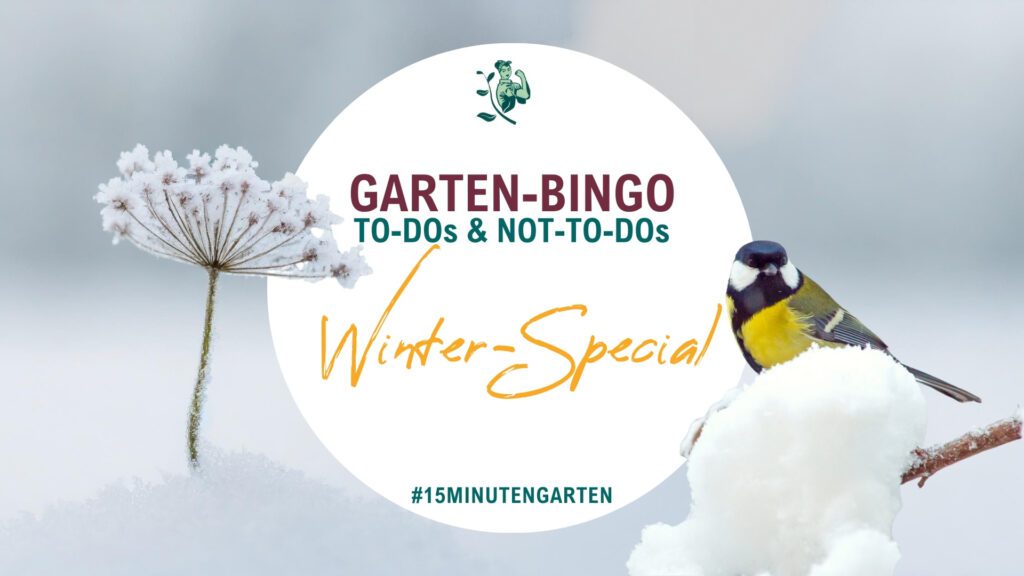 Gartenarbeit Winter