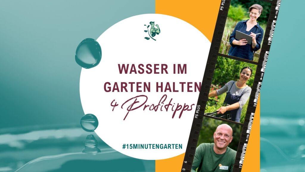 Regenwasser sammeln Ideen