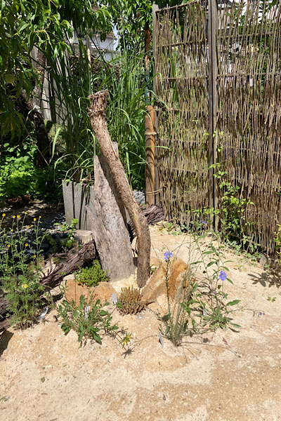 Sandarium anlegen Totholz